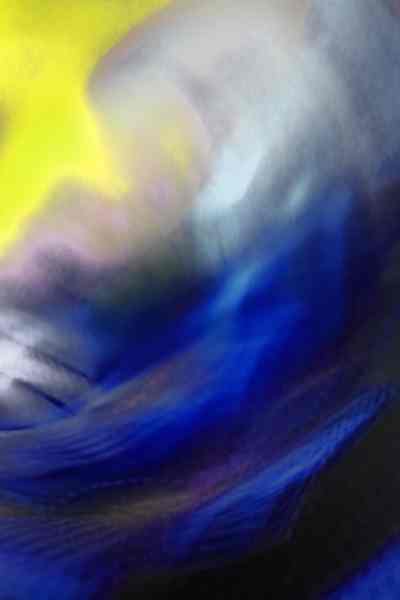 2024 - 5 klein (55x)